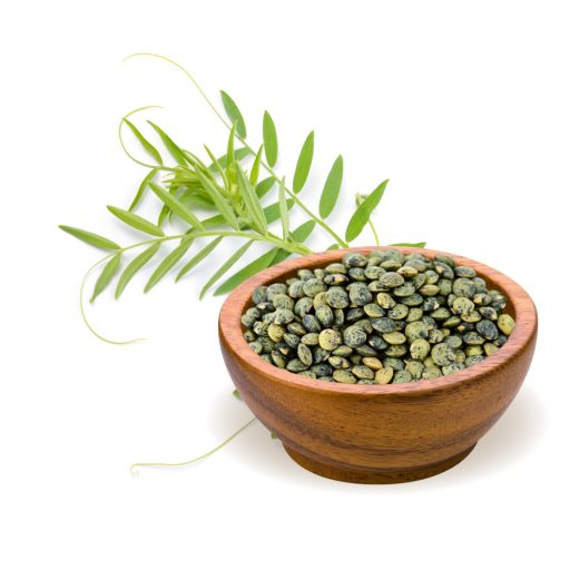 BioMenü Bio grüne Linsen 500 g Rohmaterial