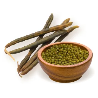 BioMenü Bio Mungbohnen 500 g Produktbild