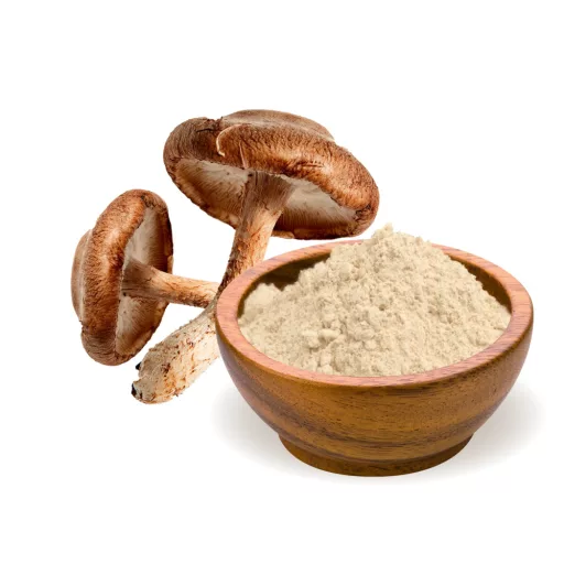 BioMenü Bio Shiitake Kapseln 60 Stk Rohmaterial