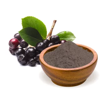 BioMenü Bio Aronia Pulver 125 g Produktbild