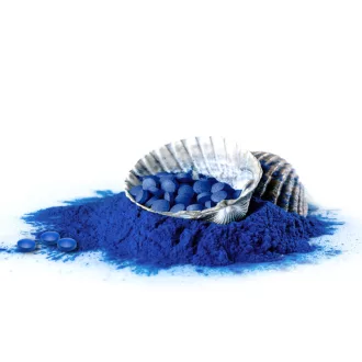 BioMenü Bio Blaue Spirulina Algen Tabletten 90 Stk Produktbild