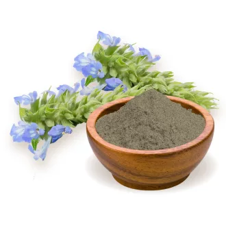 BioMenü Bio Chia-Protein 250 g Produktbild