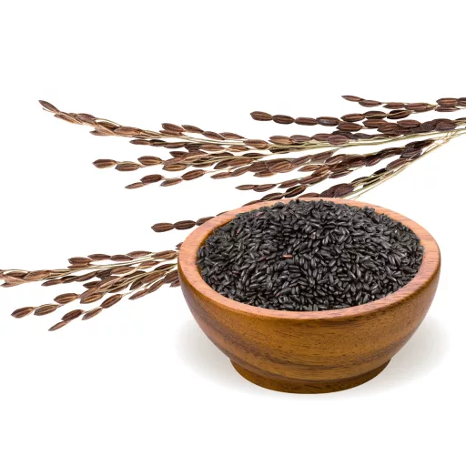 BioMenü Bio-Schwarzreis 500 g Rohmaterial