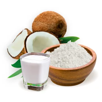 BioMenü Bio-Kokosmilchpulver 125 g Produktbild
