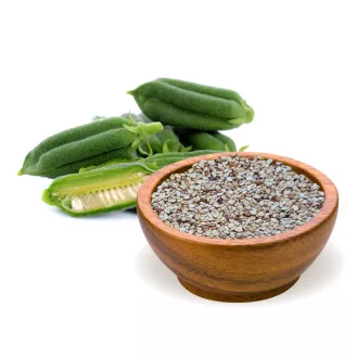 BioMenü Bio-Sesamsamen ungeschält 250 g Produktbild