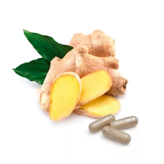 BioMenü Bio Ingwer Kapseln 60 Stk Produktbild