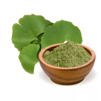 BioMenü Bio Ginkgo Biloba Pulver 100 g Produktbild
