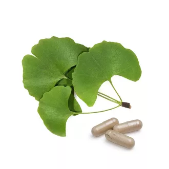 BioMenü Bio Ginkgo Biloba Kapseln 60 Stk Produktbild
