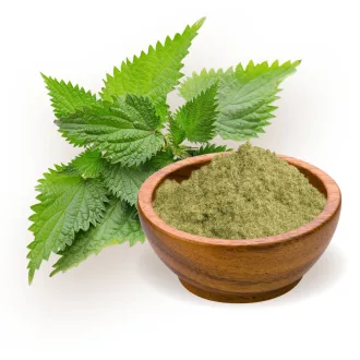 BioMenü Bio Brennnesselblätter Pulver 125 g Produktbild