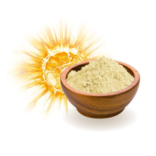 BioMenü Bio-MCT-Öl-Pulver 200 g Rohmaterial