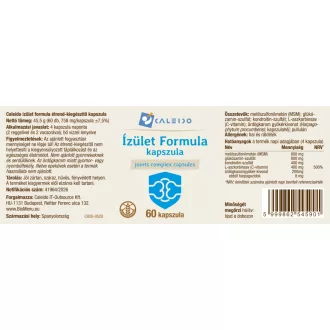 Caleido Gelenkkomplex Kapseln 60 Stk Produktbild
