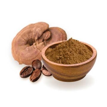 Ganoderma