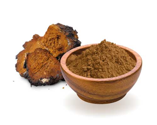 Chaga