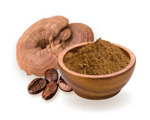 Ganoderma