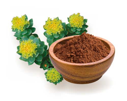 Rhodiola rosea